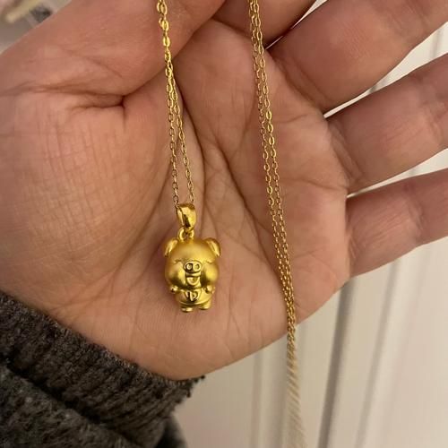 生肖属相金猪（生肖金猪适合什么属相佩戴）