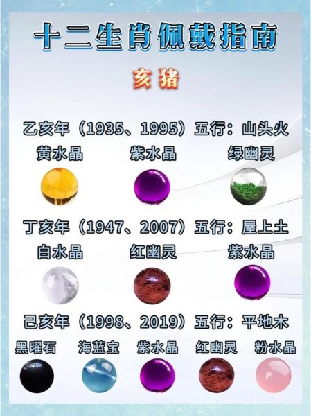 猪月属什么生肖属相（猪月到底属什么生肖？新手指南）