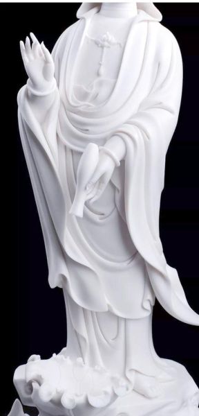 滴水观音属相是什么生肖