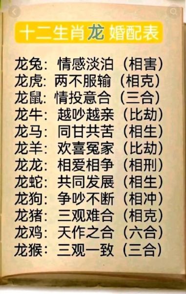 孙子属相是什么生肖（孙子属虎还是属龙？一文速查属相）