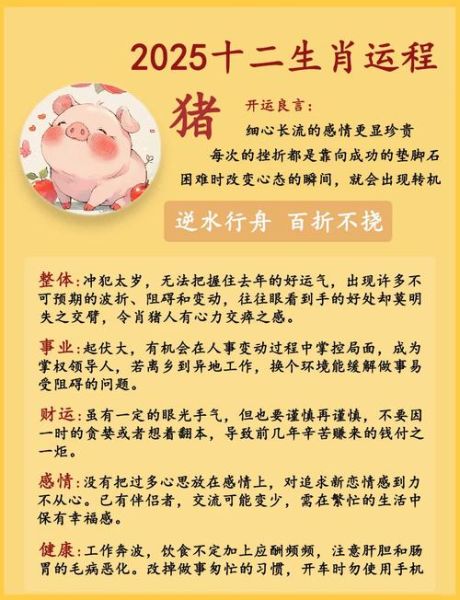 猪的生肖匹配什么属相(猪的生肖跟哪个属相最合拍?小白速看🐖)