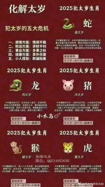 我们的生肖属相(2025年属什么生肖?)