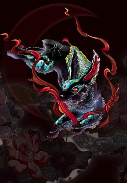 属相黑兔是什么生肖(黑兔属什么生肖新手一看就懂)