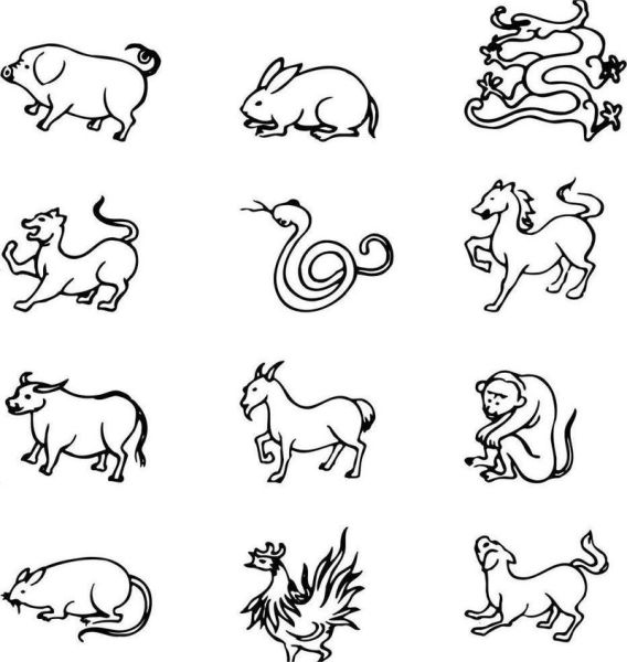 生肖属相画画大全图解（12生肖简笔画画法图解）