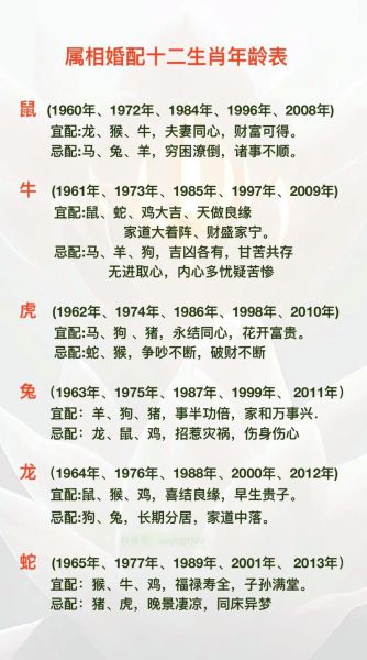 生肖属相搭配讲究（新手如何看生肖属相搭配）