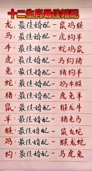 生肖属相姻缘配对抖音（生肖属相姻缘配对最准抖音版）