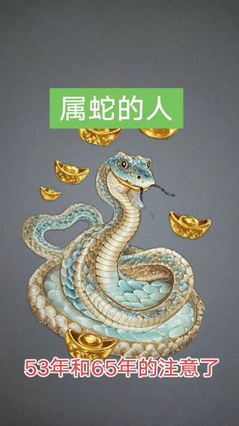 65年年属什么生肖属相（65年属什么生肖？新手一看就懂🐍）