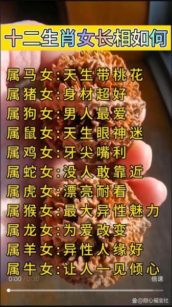 宫女夫人生肖属相（宫女夫人生肖属相是什么？）