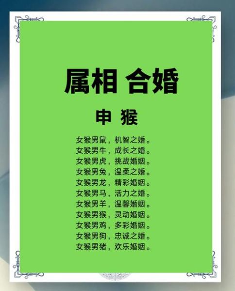 生肖猴相合属相（生肖猴与谁最合属相排名榜）