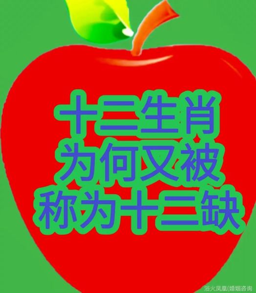 十二生肖的属相中缺什么