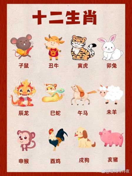 属相是哪个生肖（2025年我属什么生肖）