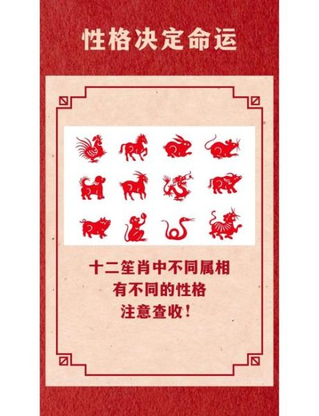 属相生肖性格分析（属相生肖性格分析新手怎么入门）