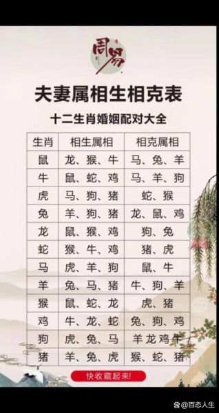 属相里有的生肖（属相里有什么生肖？一文带你轻松入门🚀）