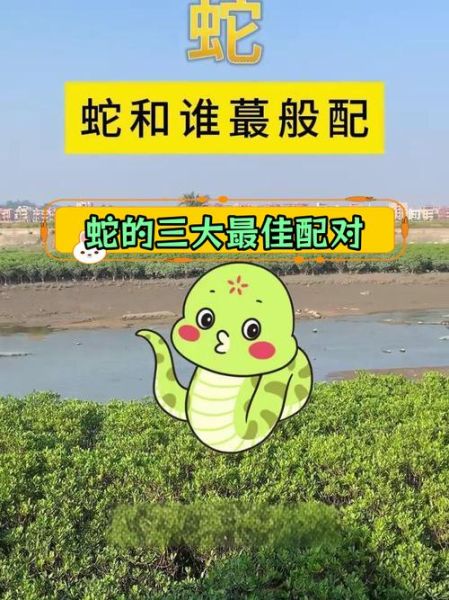 属相蛇最佳配偶生肖女孩（生肖蛇最佳配偶生肖女排行）