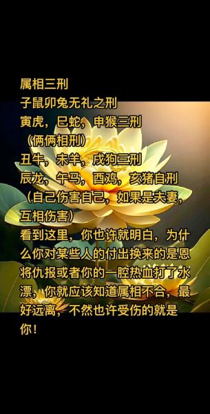 生肖属相不合文案（生肖属相不合怎么办最新民间妙招）