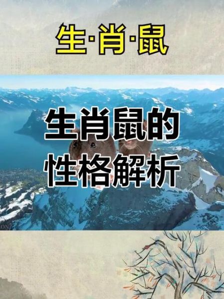 1972属相属什么生肖（1972年属什么生肖？）