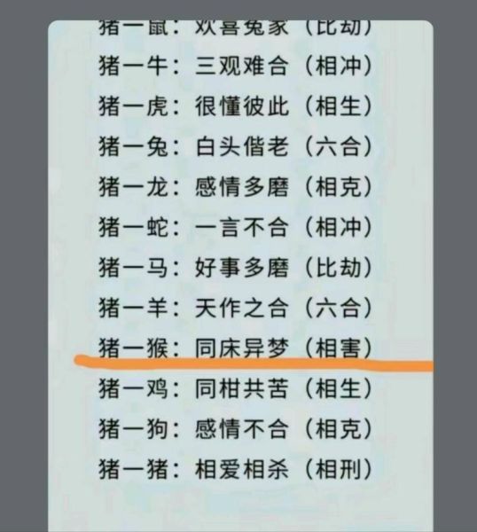 娃子属什么生肖属相（娃子属兔还是属龙？生肖速查指南）