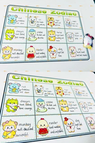 属相十二生肖怎么读英文（十二生肖英文读法全攻略）