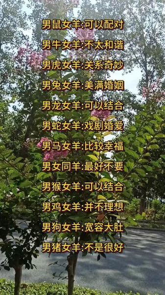 生肖羊人一生的婚配属相（生肖羊最佳婚配属相是谁）