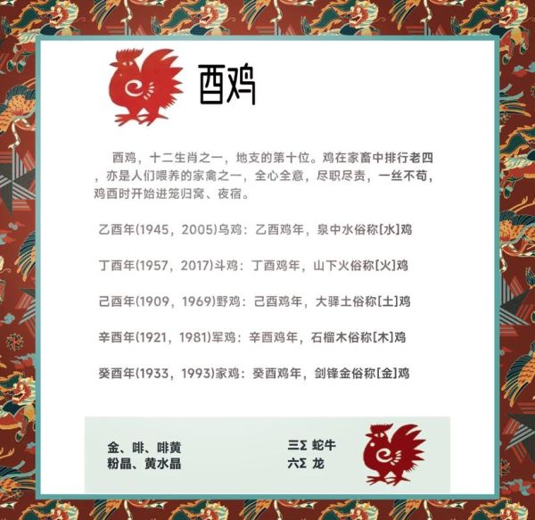 乙酉年的生肖属相（乙酉年属什么生肖？超简单解析）