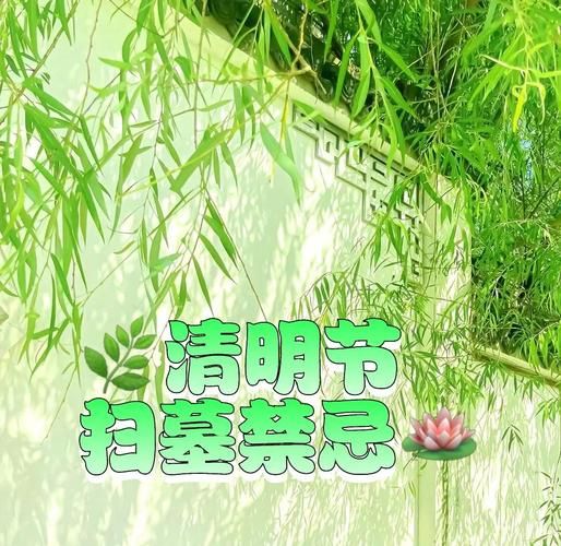 生肖属相扫墓（生肖属相扫墓需要注意什么？）