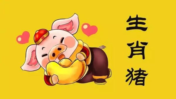 1995年什么生肖属相（1995年生肖查询：属猪还是属狗？）