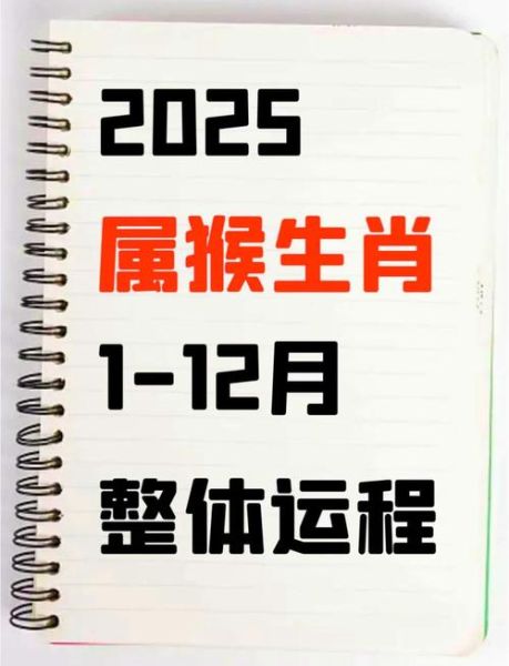 生肖属相解析词（2025年生肖猴运势详解）