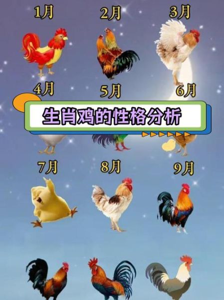 十二生肖属相表属鸡（属鸡是哪一年出生的？快速查年份）