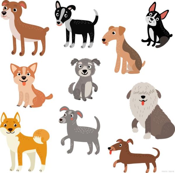 分析狗的生肖属相(狗对应的生肖属相是什么狗)