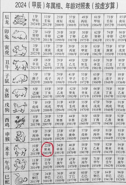 今年21岁什么生肖属相（21岁属什么生肖2024查询表）