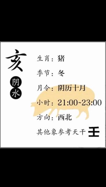 乙亥属什么生肖属相(乙亥属什么生肖的完整解析)