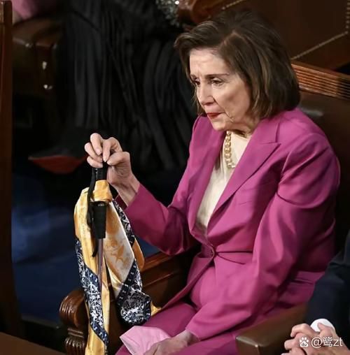 佩洛西生肖属相（佩洛西生肖属相是什么？）