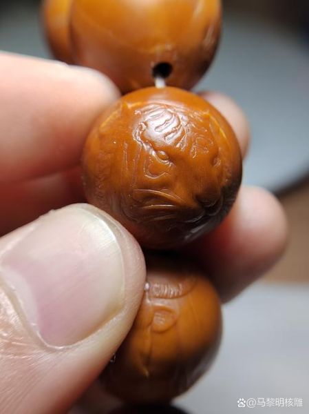 橄榄核生肖属相（橄榄核生肖属相怎么选👜）