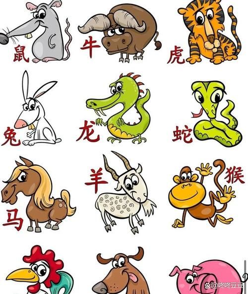 2014属相属什么生肖（2014年出生属什么生肖？超简科普🐎）