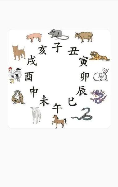 生肖12月属相(12月属相到底是猪还是鼠?)