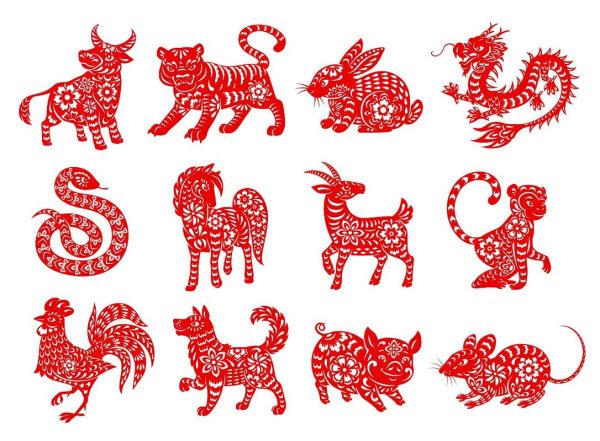 2019年生肖属相（2019年属猪还是属狗？）