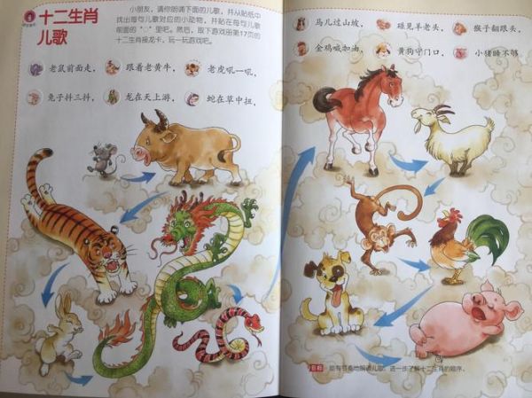 什么属相属于右边生肖（右边生肖是哪个属相？小白一看就懂）