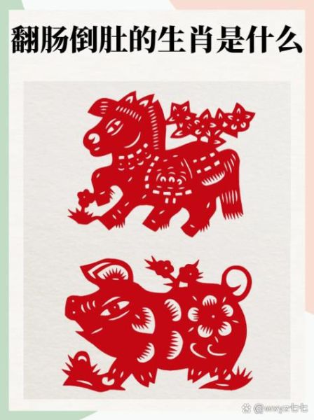 十二属相第一是什么生肖(十二属相第一是哪个生肖?小白也能秒懂)