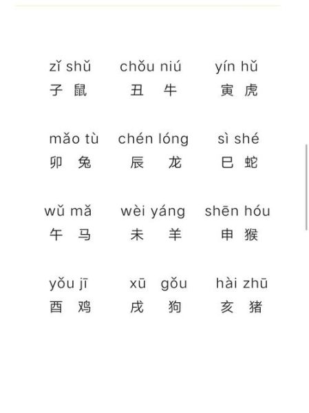 二年级背12生肖属相（二年级背12生肖属相口诀）