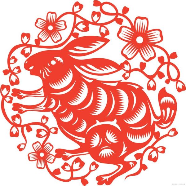 兔属相是什么生肖(兔属相是什么动物)