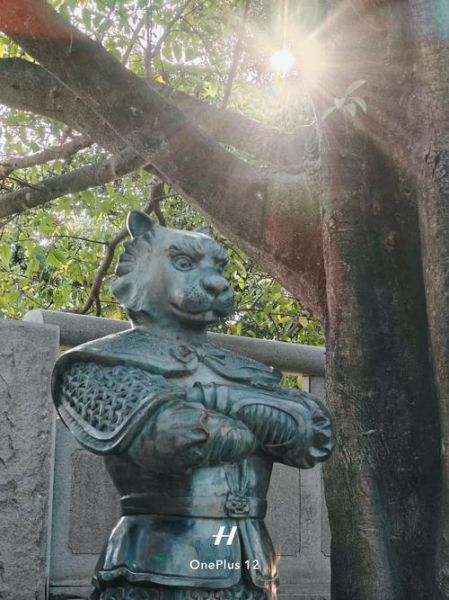 公园里打一个属相生肖（公园里打一个生肖是什么？）