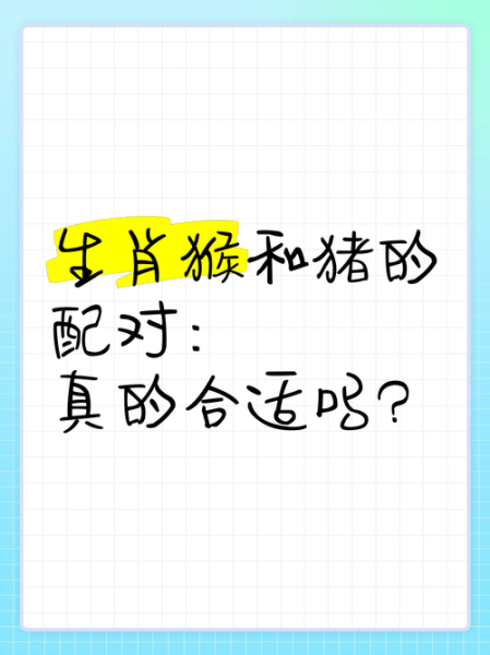属相能配哪个生肖（属猴和哪些属相最配最旺）