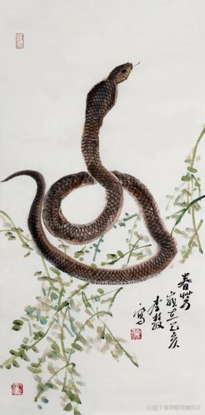 老李什么生肖属相啊（老李属什么生肖）