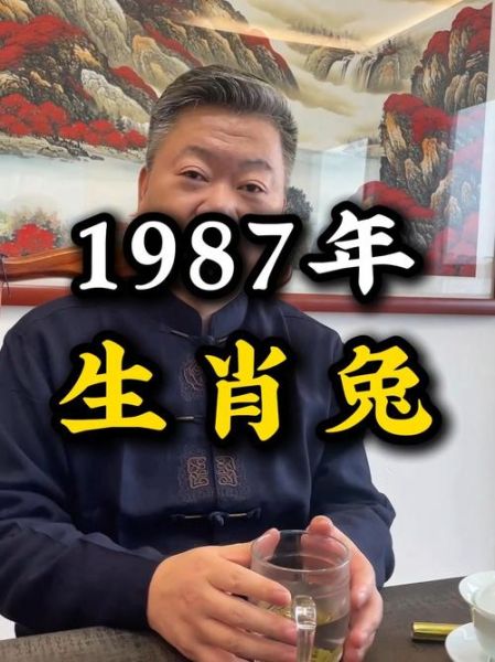 87年属什么生肖属相（87年属什么生肖，运势如何一眼看懂）