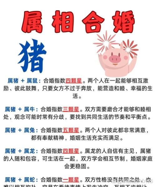 土豪生肖猪搭配什么属相（土豪生肖猪最旺配偶属相是谁）
