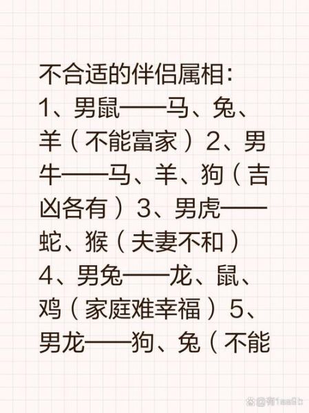 生肖属相婚配马和兔(马和兔相配婚姻如何)