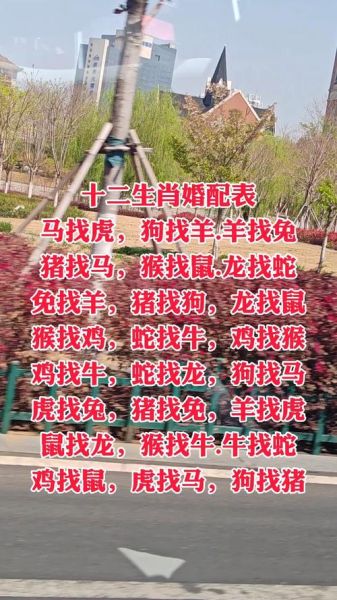 适合晚婚生肖的属相（哪些生肖适合晚婚晚婚属相排行榜）