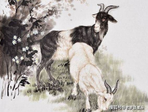 罗永浩属什么生肖属相