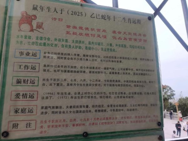 属相生肖命（2025年十二生肖每月运势详解）