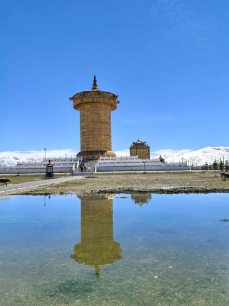 徐志摩属于什么生肖属相(徐志摩生肖属相是什么)